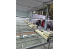 Máy sấy chạy bàn in áo thun: MS - 01