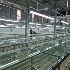 BÀN IN GIÀY DA-BÀN IN TEM CHUYỂN NHIỆT