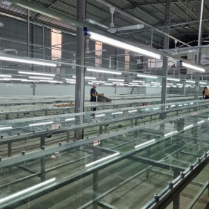 BÀN IN LỤA NGHIÊNG HÌNH NÓN MẶT KÍNH