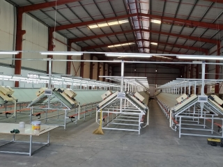 Thiết kế thi công lắp đặt xưởng in quần áo bàn in nghiêng tại công ty Jungwon vina  KCN Hải Sơn -Đức Hòa Long An