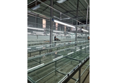 BÀN IN GIÀY DA-BÀN IN TEM CHUYỂN NHIỆT