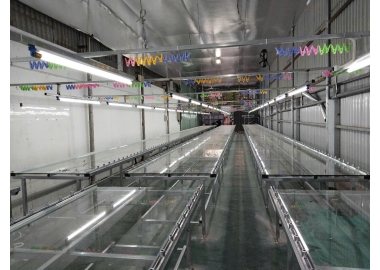 Chuyên cung cấp bàn in giày da, in tem, in ba lô túi xách chất lượng cao